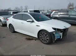 5XXGU4L19KG315119 2019 KIA OPTIMA