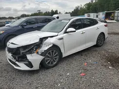 5XXGU4L19KG339419 2019 KIA OPTIMA