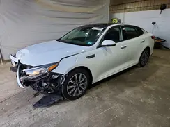 5XXGU4L1XKG343804 2019 KIA OPTIMA