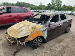 5XXGU4L1XKG353166 2019 KIA OPTIMA