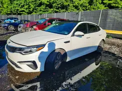 5XXGU4L1XKG366709 2019 KIA OPTIMA