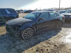 5XXGU4L1XKG368394 2019 KIA OPTIMA
