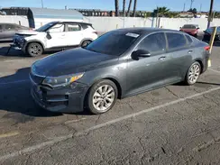 5XXGU4L31GG004325 2016 KIA OPTIMA