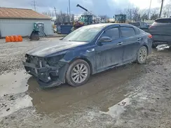 5XXGU4L31GG007984 2016 KIA OPTIMA