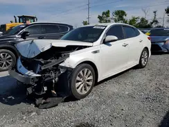 5XXGU4L31GG013350 2016 KIA OPTIMA