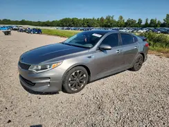 5XXGU4L31GG013655 2016 KIA OPTIMA