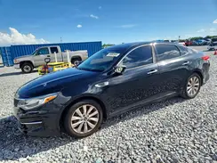 5XXGU4L31GG044534 2016 KIA OPTIMA