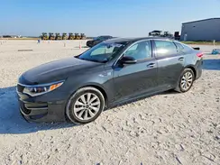 5XXGU4L31GG118843 2016 KIA OPTIMA
