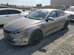 5XXGU4L31HG135532 2017 KIA OPTIMA