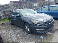 5XXGU4L33GG044647 2016 KIA OPTIMA
