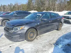 5XXGU4L33HG130669 2017 KIA OPTIMA