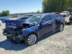 5XXGU4L33HG165454 2017 KIA OPTIMA