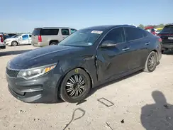 5XXGU4L34GG004447 2016 KIA OPTIMA