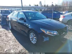 5XXGU4L34GG007462 2016 KIA OPTIMA