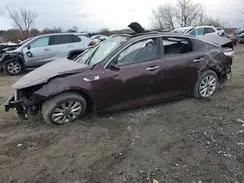 5XXGU4L34GG011852 2016 KIA OPTIMA