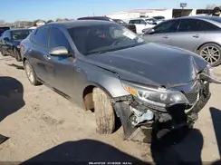 5XXGU4L34GG031499 2016 KIA OPTIMA