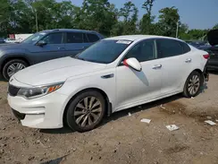 5XXGU4L34GG081481 2016 KIA OPTIMA