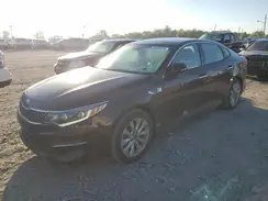 5XXGU4L34GG101244 2016 KIA OPTIMA