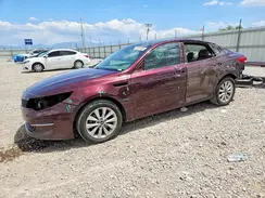 5XXGU4L35GG110115 2016 KIA OPTIMA