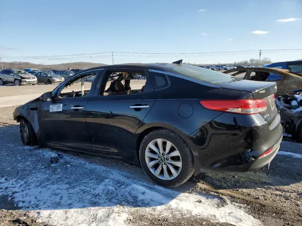 5XXGU4L36GG010685 2016 KIA OPTIMA - Image 2