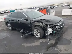5XXGU4L36GG081109 2016 KIA OPTIMA