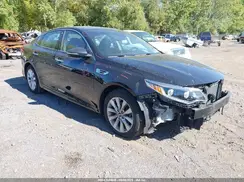 5XXGU4L36GG092871 2016 KIA OPTIMA