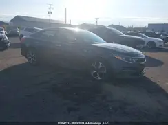 5XXGU4L37GG075853 2016 KIA OPTIMA