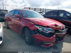5XXGU4L37KG355183 2019 KIA OPTIMA