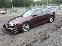 5XXGU4L38GG031313 2016 KIA OPTIMA
