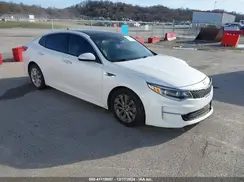 5XXGU4L39GG033569 2016 KIA OPTIMA