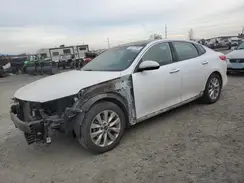 5XXGU4L39GG078608 2016 KIA OPTIMA