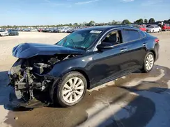 5XXGU4L3XGG010236 2016 KIA OPTIMA