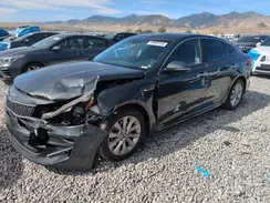 5XXGU4L3XGG012455 2016 KIA OPTIMA