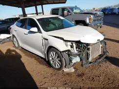 5XXGU4L3XGG040756 2016 KIA OPTIMA