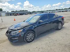 5XXGU4L3XGG044452 2016 KIA OPTIMA