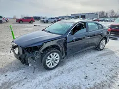 5XXGU4L3XGG081517 2016 KIA OPTIMA
