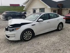 5XXGU4L3XGG091612 2016 KIA OPTIMA