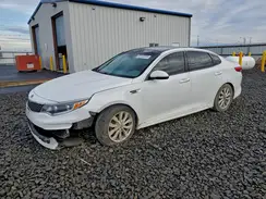 5XXGU4L3XGG103869 2016 KIA OPTIMA