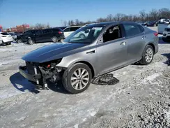 5XXGU4L3XHG131303 2017 KIA OPTIMA