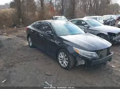 5XXGU4L3XHG176029 2017 KIA OPTIMA