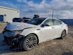 5XXGV4L21KG302841 2019 KIA OPTIMA