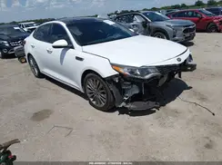 5XXGV4L28KG330037 2019 KIA OPTIMA