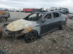 5XXGV4L2XHG124307 2017 KIA OPTIMA