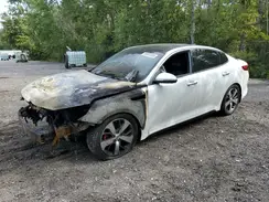 5XXGV4L2XJG230147 2018 KIA OPTIMA