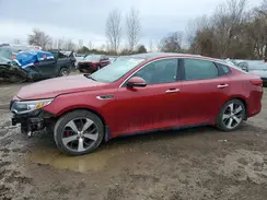 5XXGW4L22GG020681 2016 KIA OPTIMA