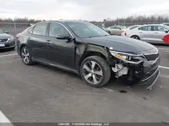 5XXGW4L24GG061569 2016 KIA OPTIMA