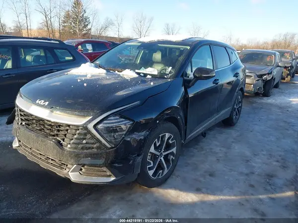5XYK33DFXRG228918 2024 KIA SPORTAGE - Image 2