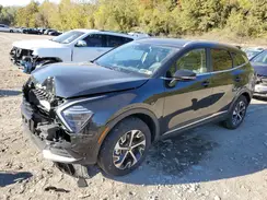 5XYK3CDF5RG148121 2024 KIA SPORTAGE
