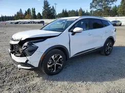 5XYK3CDF9RG205775 2024 KIA SPORTAGE