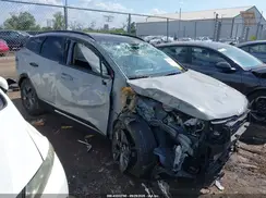5XYK43DF1RG146556 2024 KIA SPORTAGE
